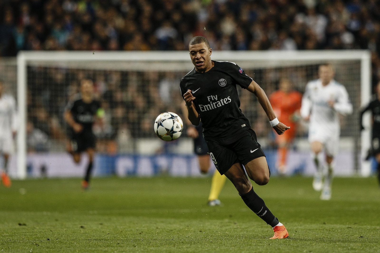 若波特能在 若波特能在